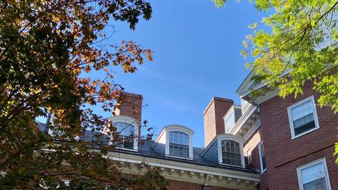 Harvard building shot from below with leaves framing the corners.