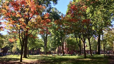 Harvard in late summer.