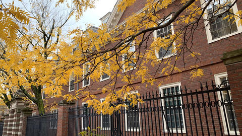 Harvard College as seen from from Mass Avenue in the fall.
