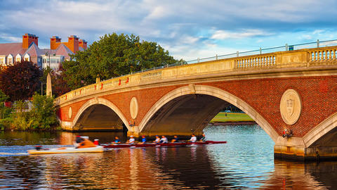 Rowers under Harvard Footbridge.