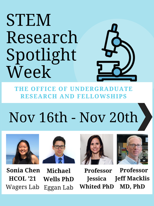 A poster with the words "STEM Research Spotlight Week, Nov 16th-Nov 20th"