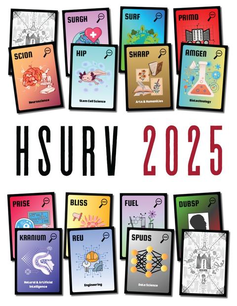Cover of 2025 Abstract Book showing each program as a card in a deck of cards with fitting illustrations on all 16.